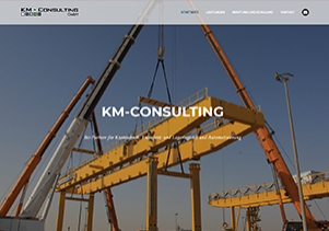 km consulting